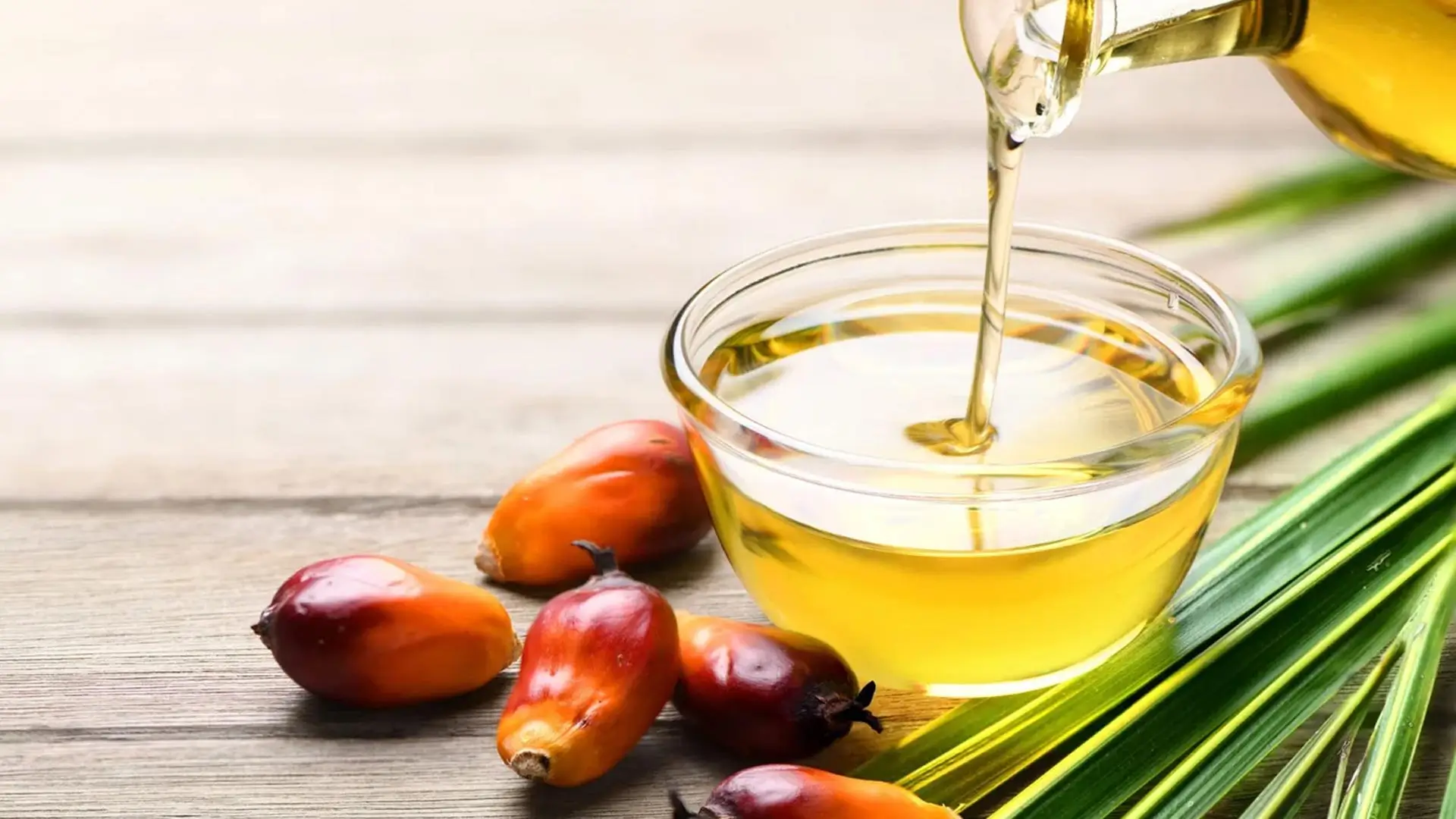 Liên hệ nhà cung cấp dầu cọ tinh luyện, dầu đậu nành tinh luyện